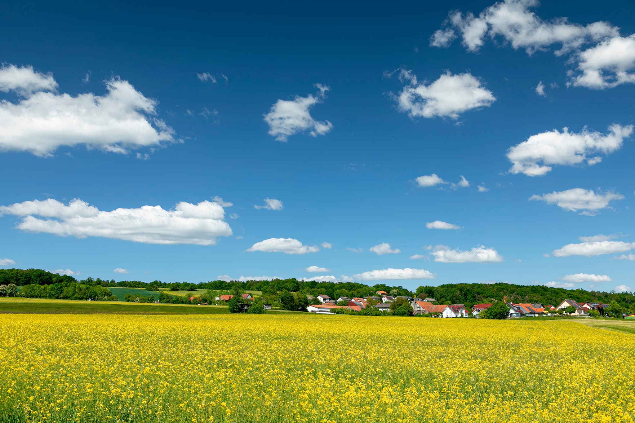 Hintergrundbild