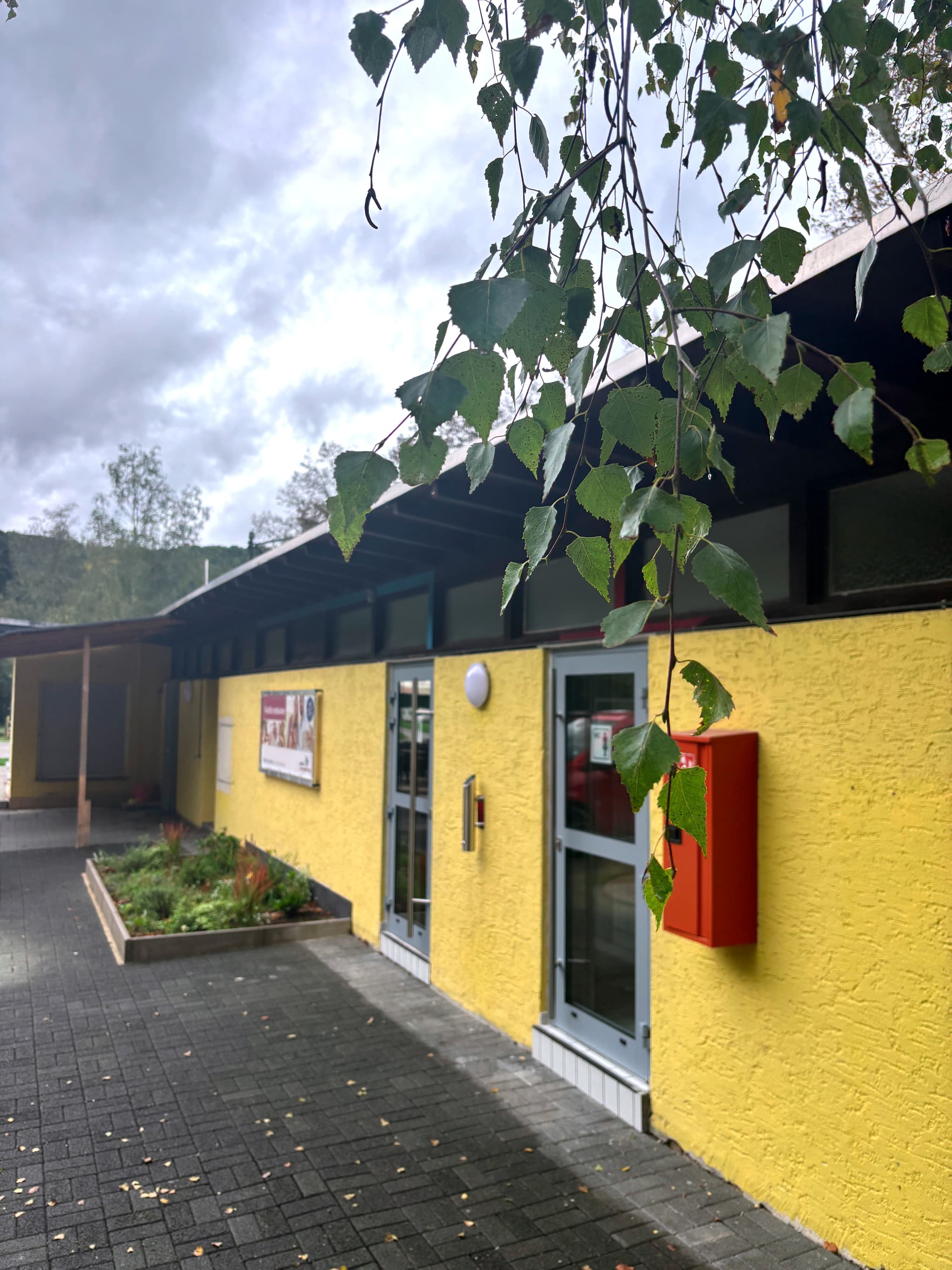 Galleriebild