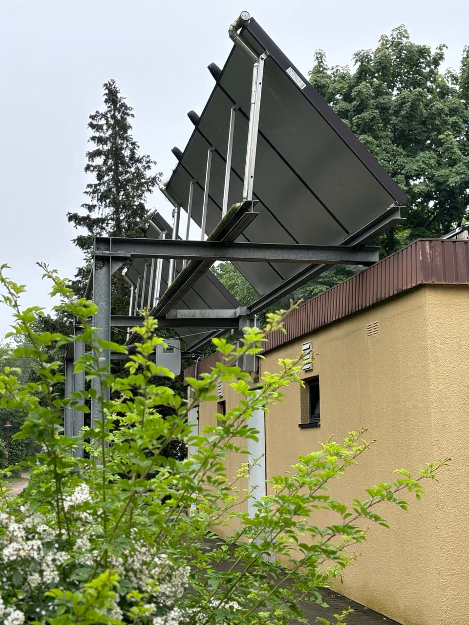 Galleriebild