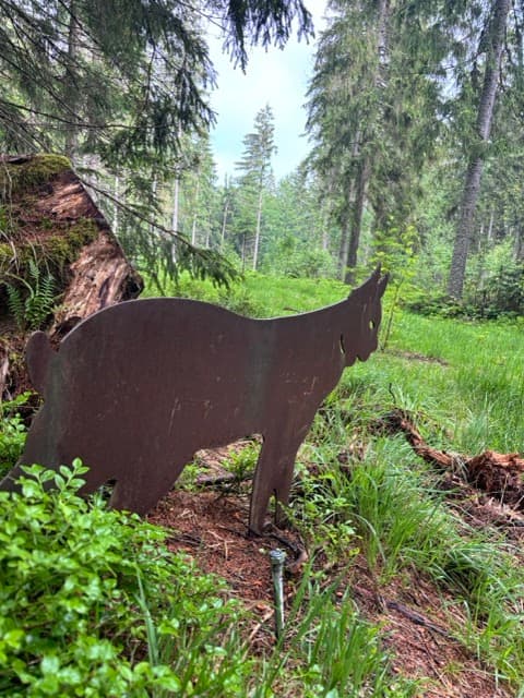 Waldstreifzug für Entdecker Galleriebild