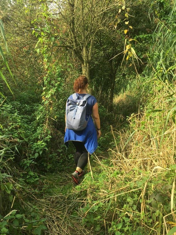 Wandern Wandern